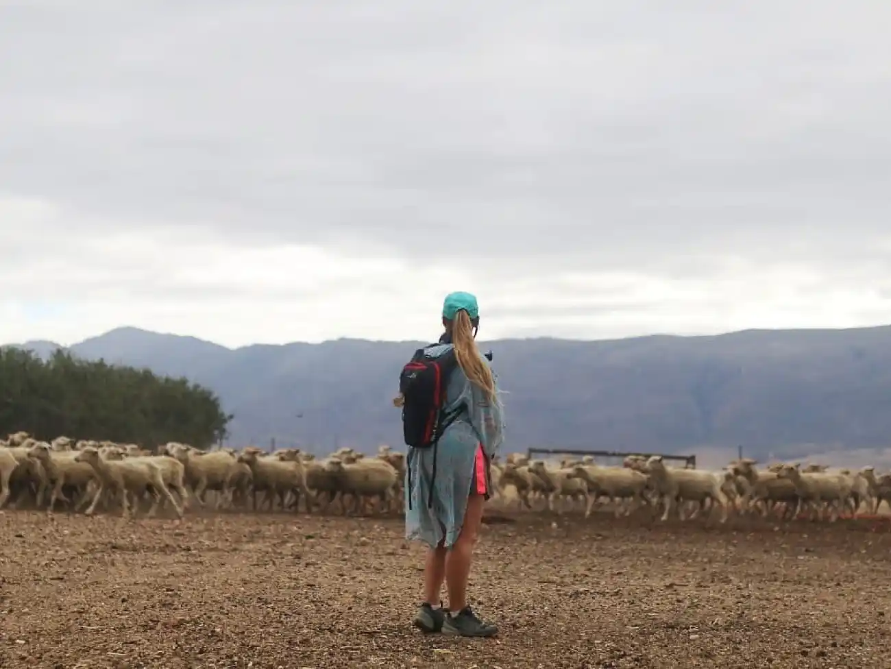 Camino Routes in Paarl