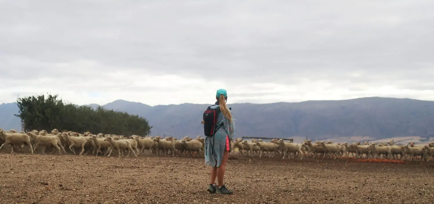 Camino Routes