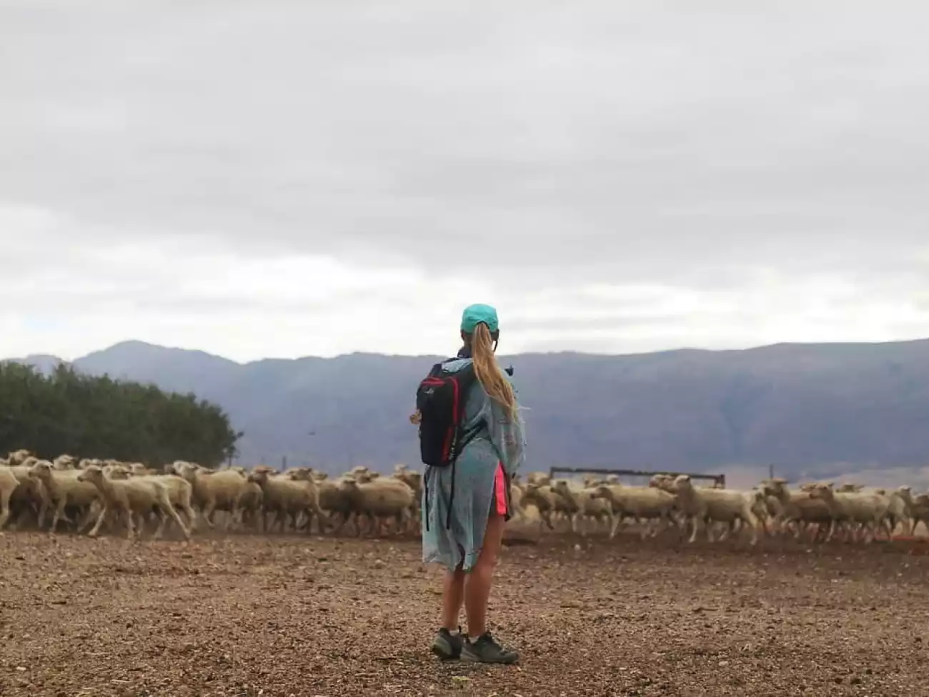 Camino Routes in Paarl