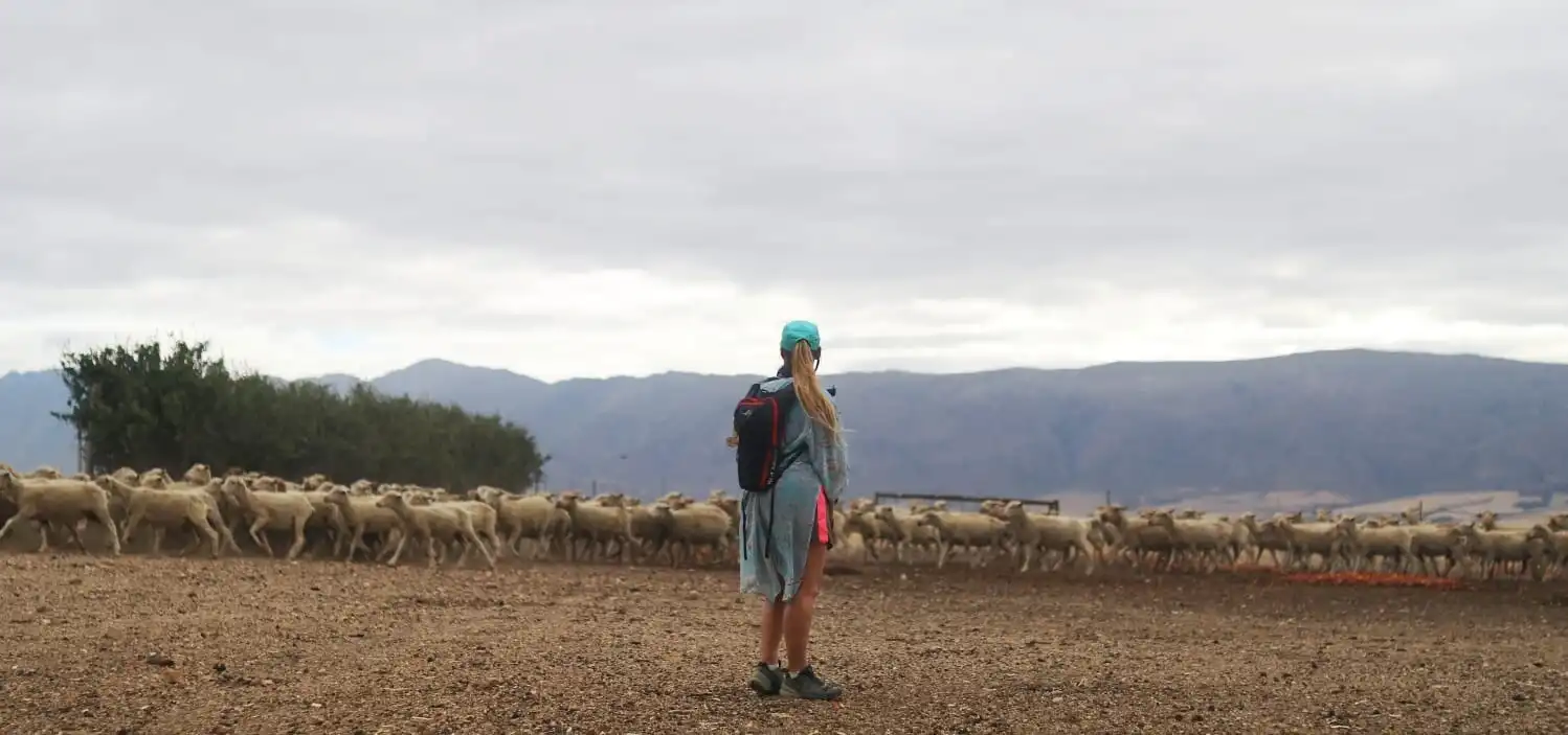 Camino Routes