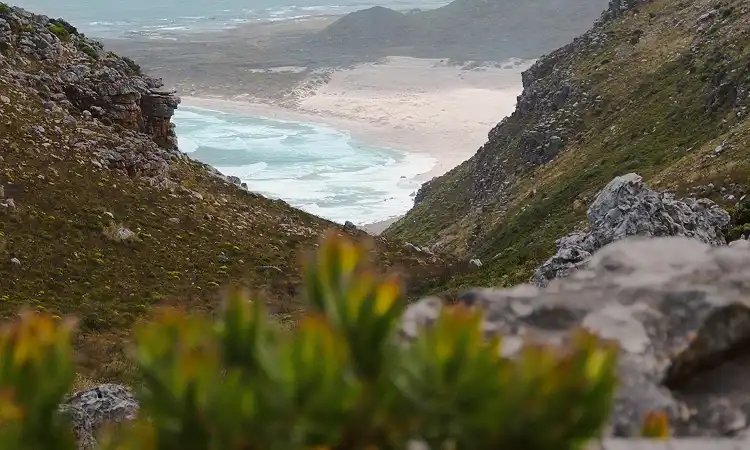 Air Blade Aviation - Helicopter Flights 3