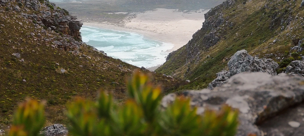 Air Blade Aviation - Helicopter Flights 3