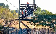 Zip Line