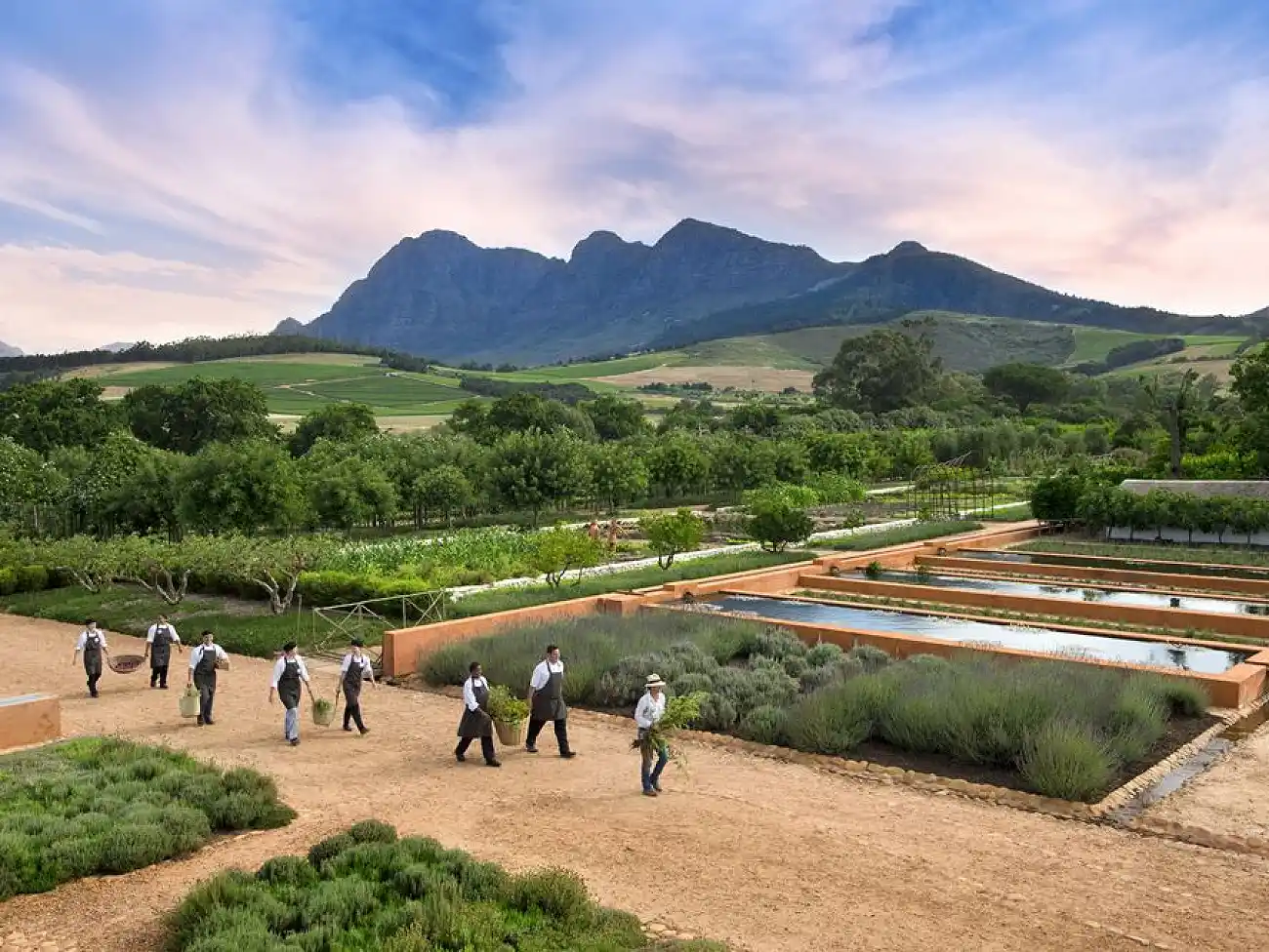Scenic Flight in Cape Winelands 