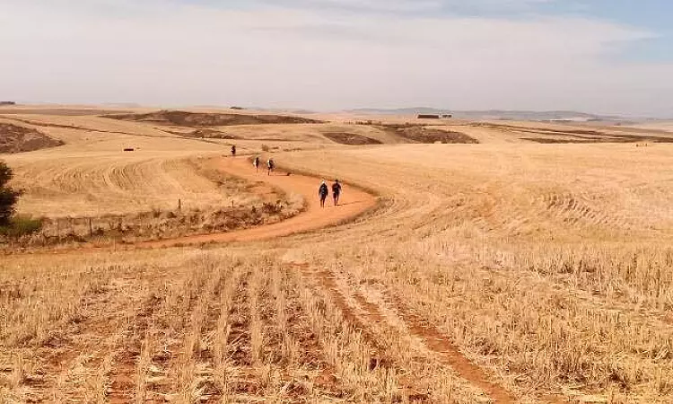Cape Camino - Classic - Camino Routes
