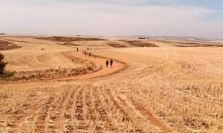 Cape Camino - Classic - Camino Routes