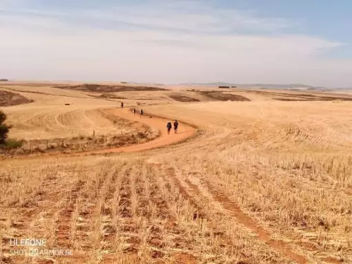 Cape Camino - Classic - Camino Routes