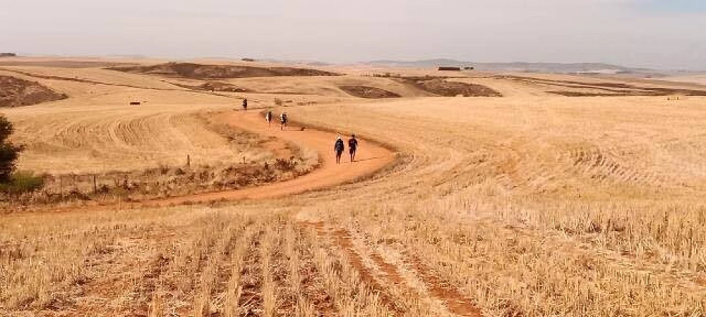 Cape Camino - Classic - Camino Routes