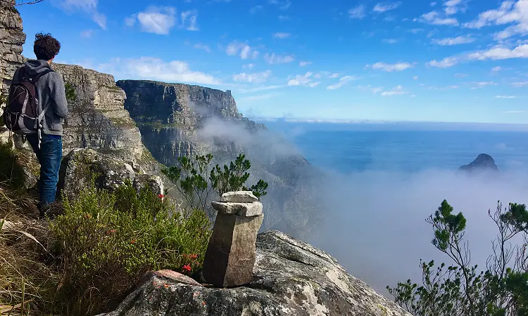 Wild Treasure Hiking - Table Mountain