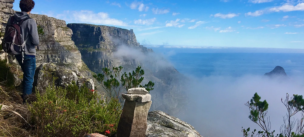 Wild Treasure Hiking - Table Mountain