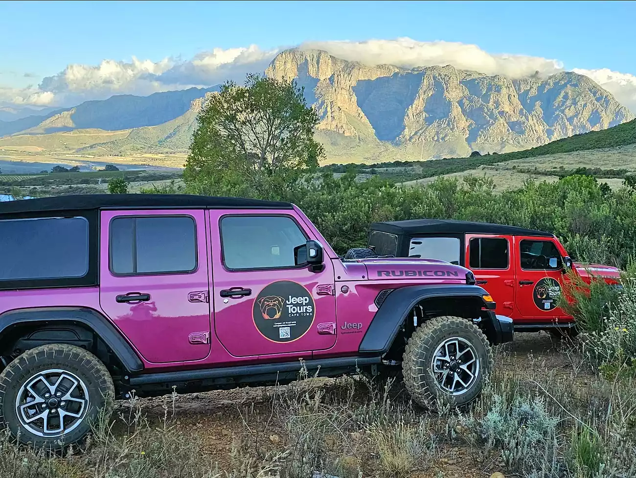 Jeep Experience in Cape Winelands