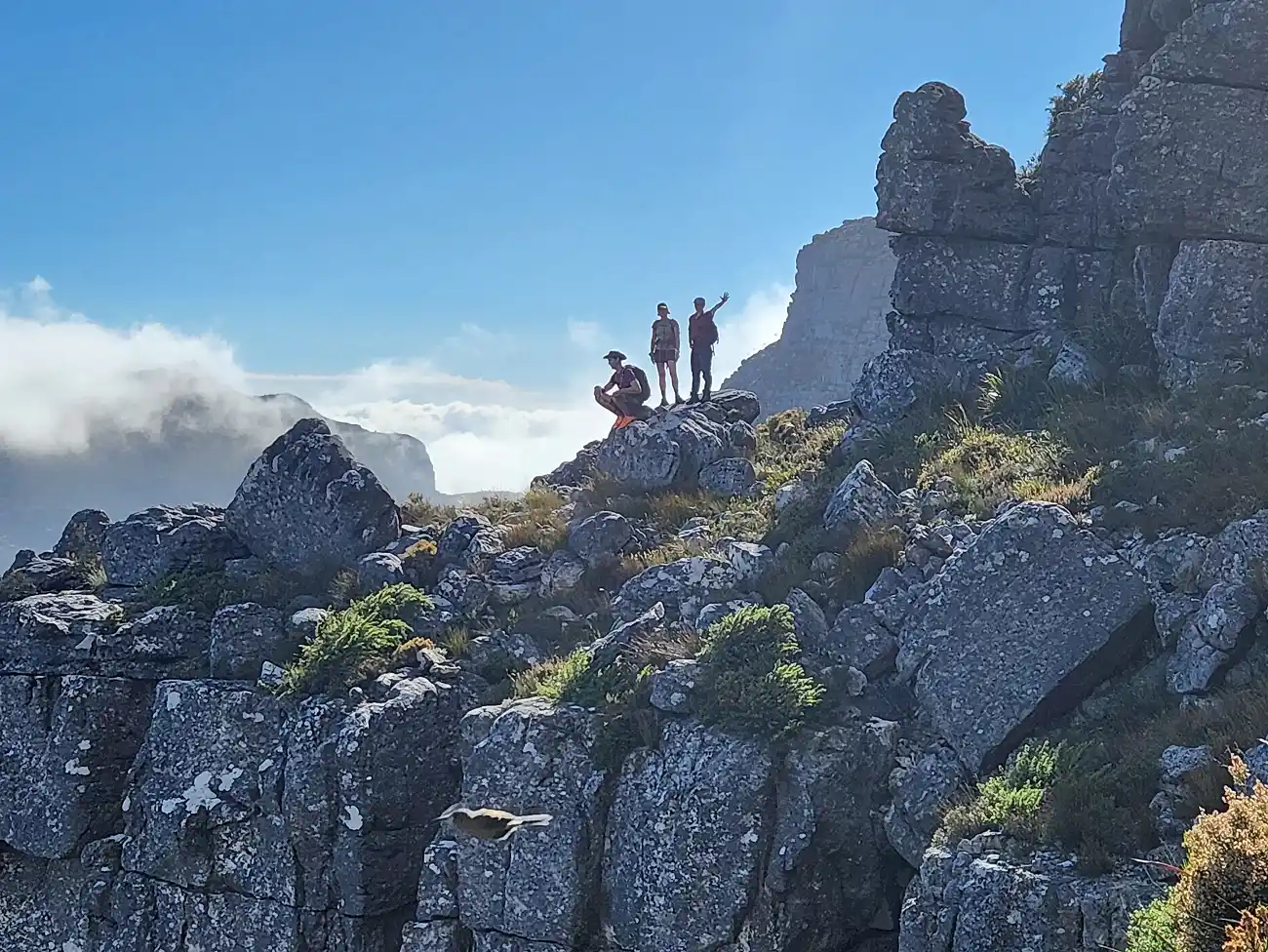 Guided Hiking on Table Mountain
