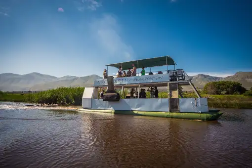 African Queen Stanford - Boat Trips