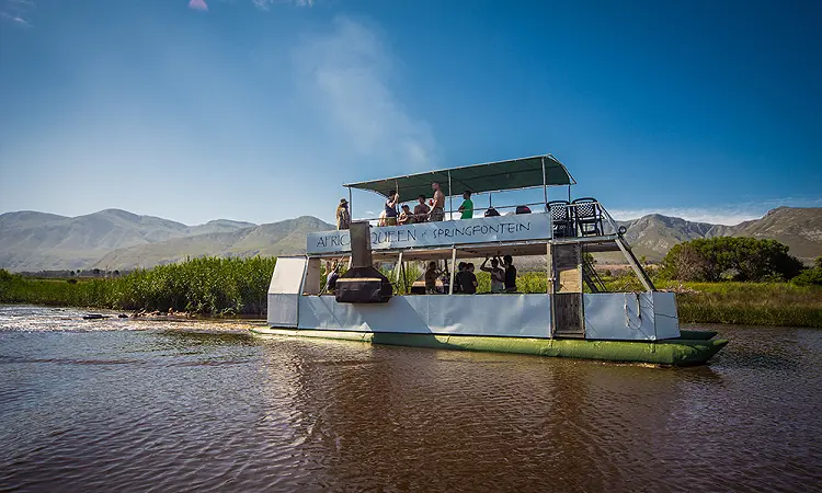 African Queen Stanford - Boat Trips