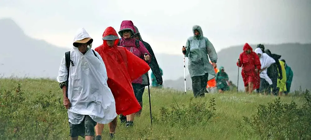 Camino Routes