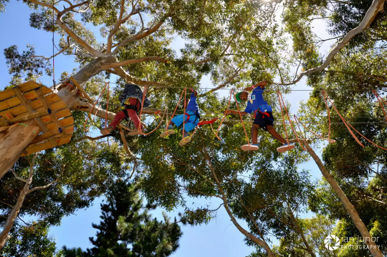 {def_description_image_text}