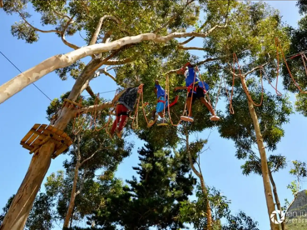 Acrobranch in Constantia Winelands