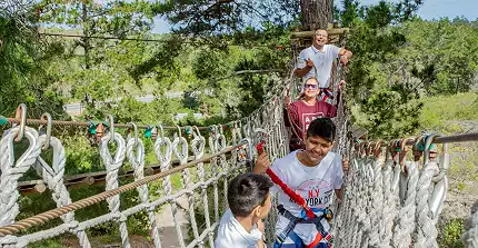 Acrobranch Adventure Park - Garden Route