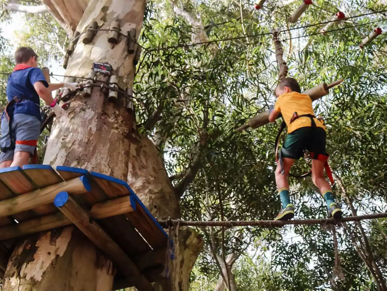Acrobranch in Hout Bay