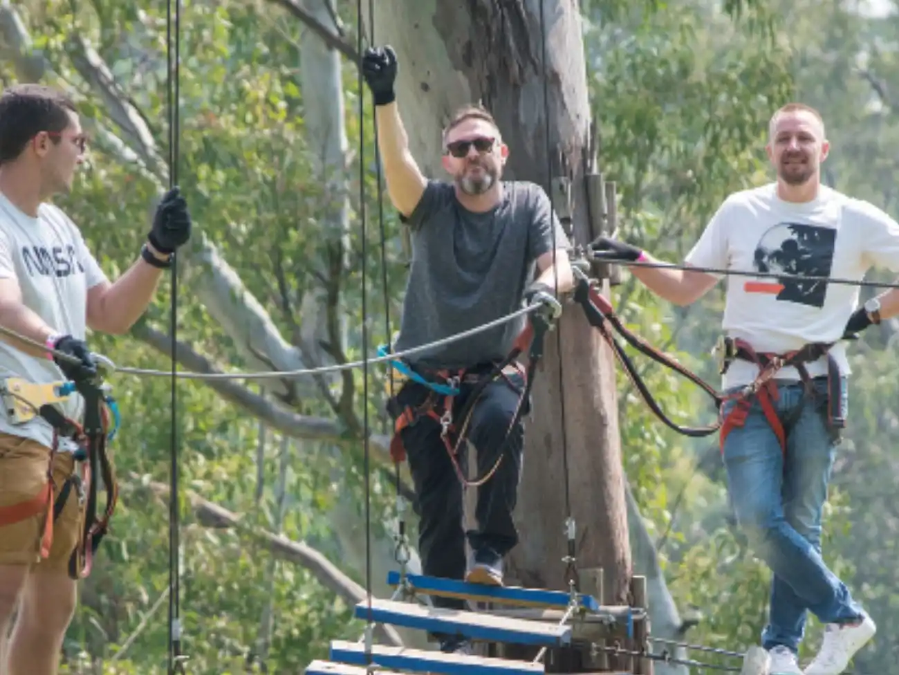 Acrobranch at James & Ethel Gray Park