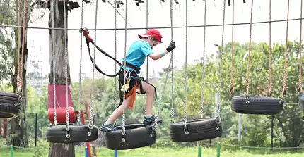 Acrobranch Adventure Park - Melrose