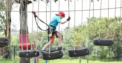 Acrobranch Adventure Park - Melrose