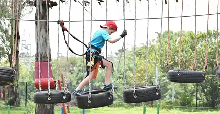 Acrobranch Adventure Park - Melrose