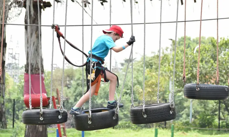 Acrobranch Adventure Park - Melrose