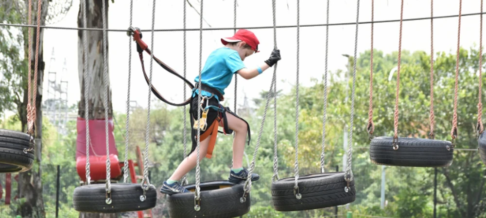 Acrobranch Adventure Park - Melrose