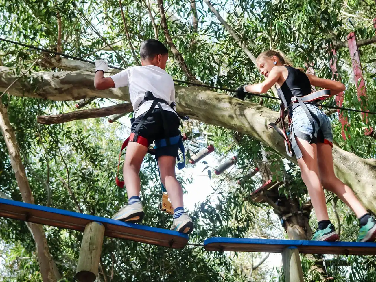 Acrobranch at Klein Joostenberg Farm