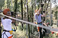 Acrobranch