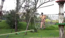 Acrobranch
