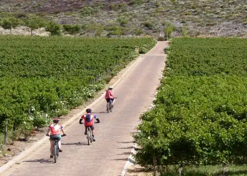 Mountain Biking