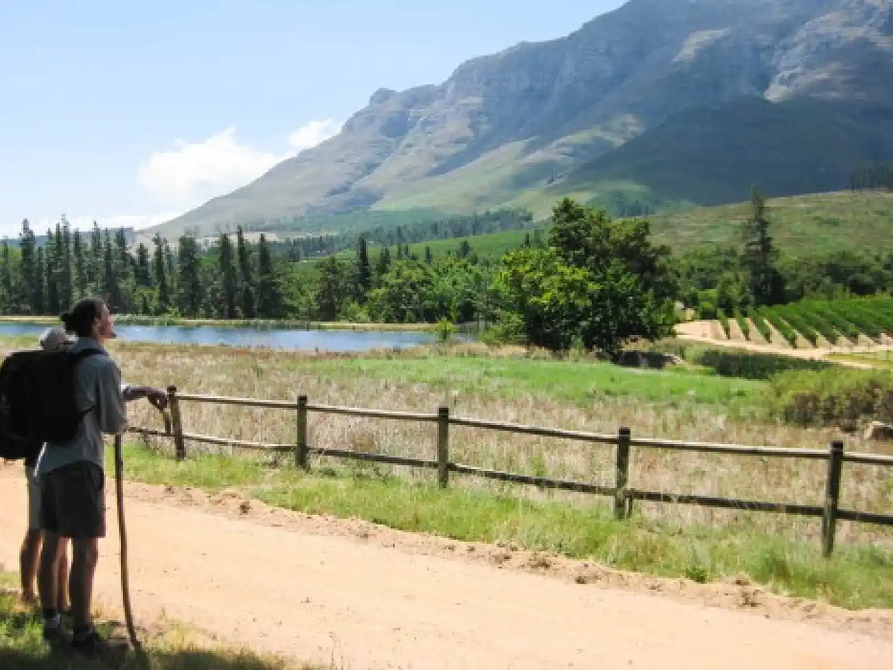 Hiking in Stellenbosch