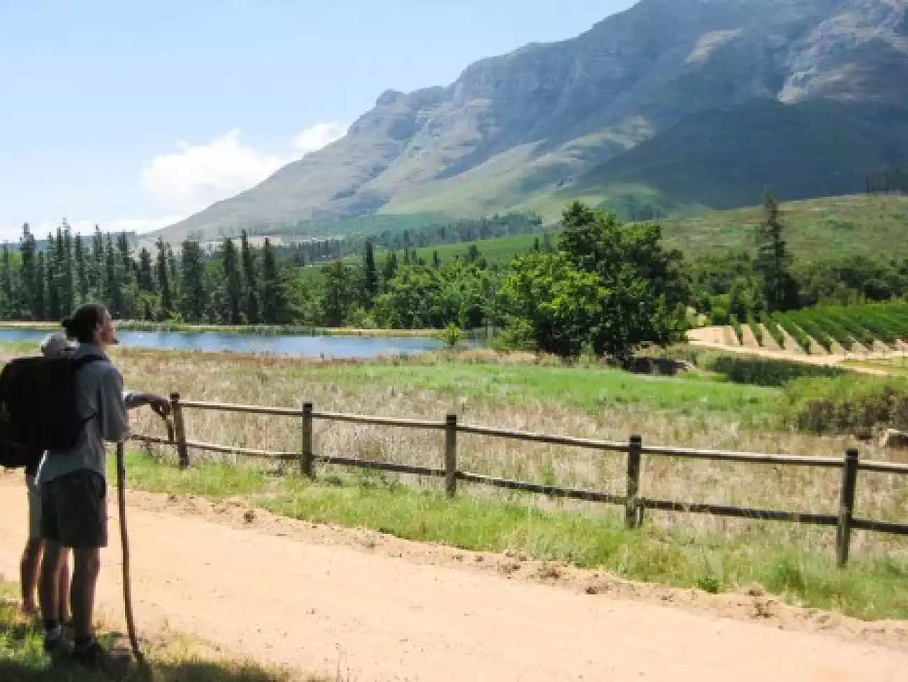 Hiking in Stellenbosch