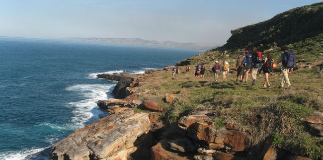 {def_description_image_text}