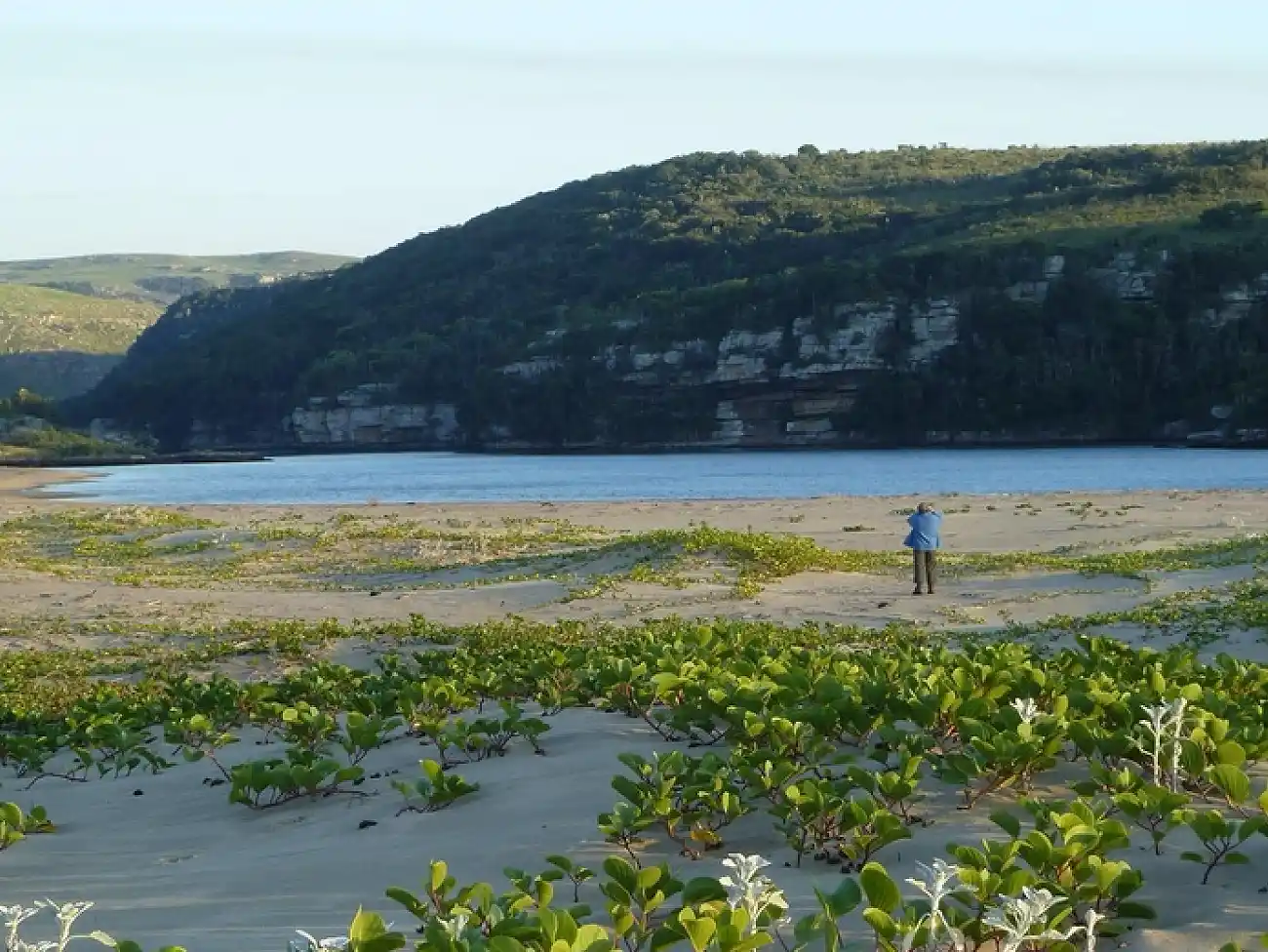 Walking Safaris in St Lucia