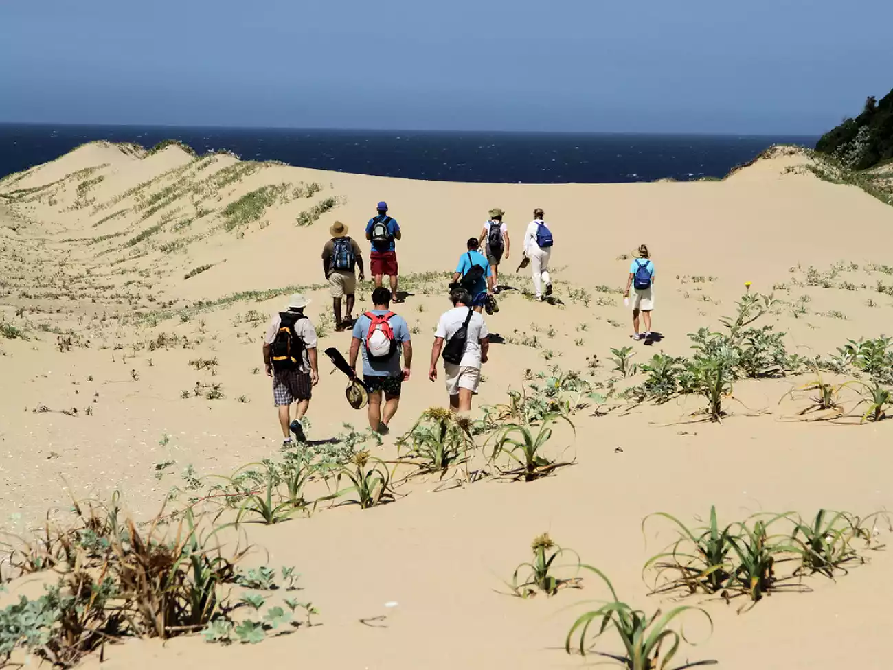 Guided Hiking in the Eastern Cape