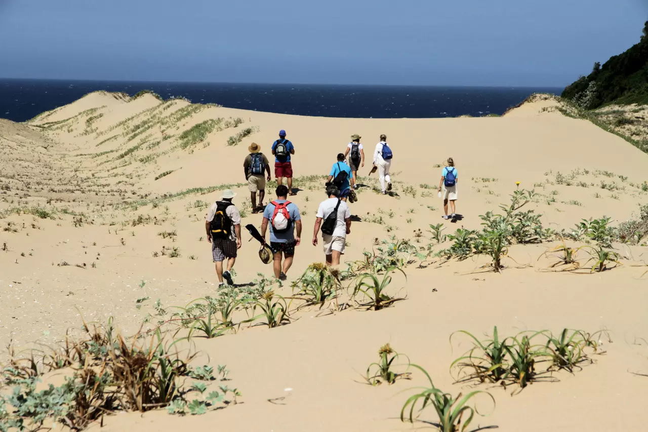 Guided Hiking