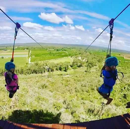 Zip Line