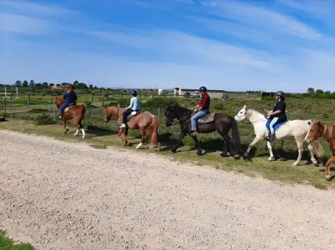 Adventure Horse Safaris - Horse Riding