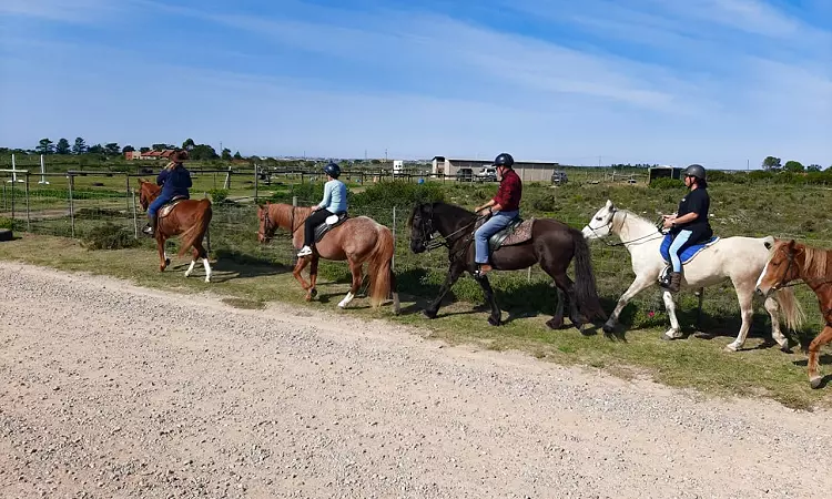 Adventure Horse Safaris - Horse Riding