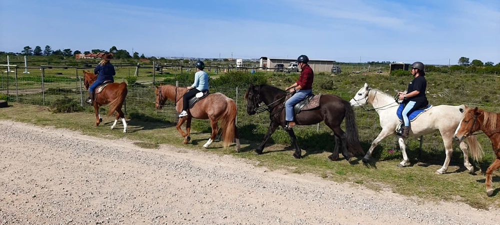 Adventure Horse Safaris - Horse Riding