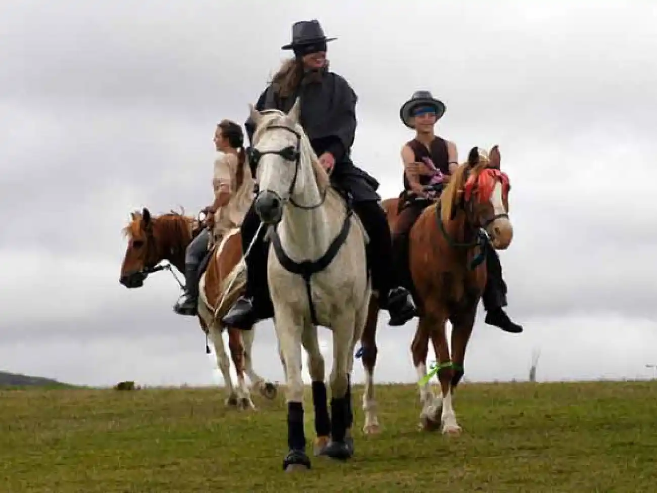 Horse Safaris in Pretoria