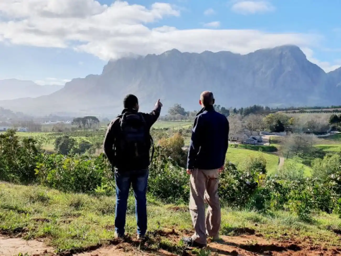 Wine Walks in Stellenbosch