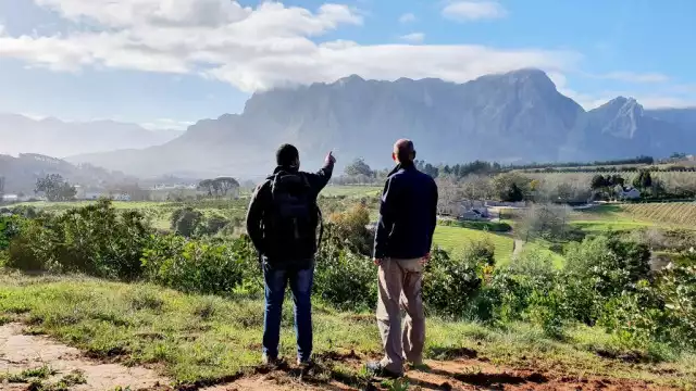 Wine Walks