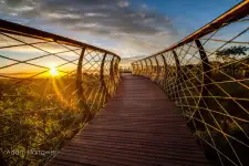 Aerial Boardwalk