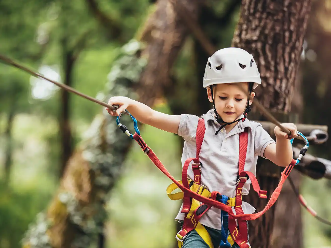 Aerial cable trail in Pretoria