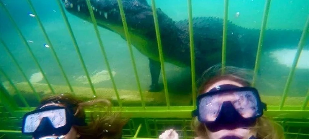 African Croc Dive - Croc Cage Diving