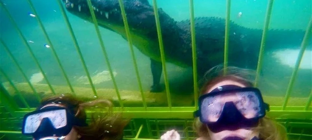 African Croc Dive - Croc Cage Diving